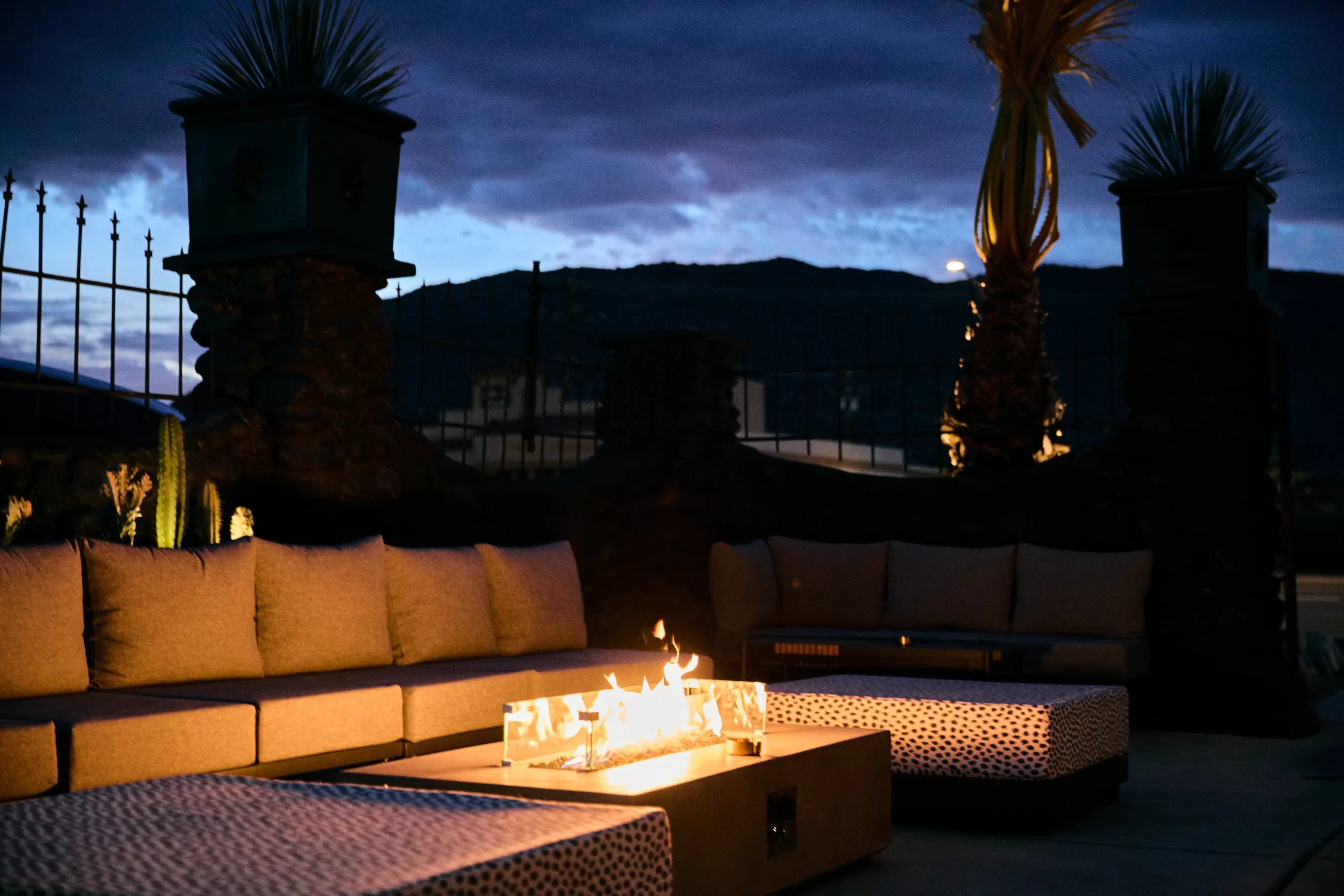 Mohave Gold in Yucca Valley interior